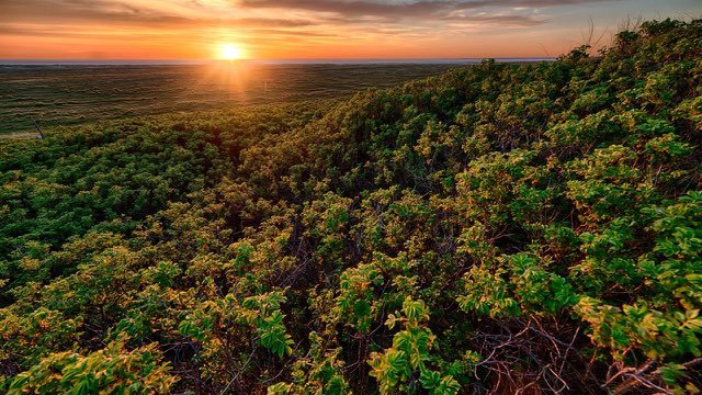 Mata Atlântica do Sul da Bahia ao entardecer